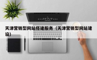 大理天津营销型网站搭建服务（天津营销型网站建设）